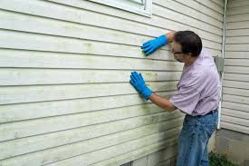 Professional Siding in Rosenberg, TX